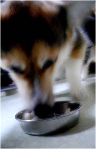 051001_05.jpg