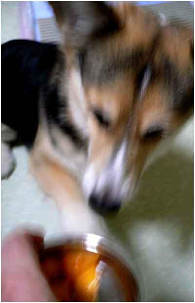 051027_07.jpg